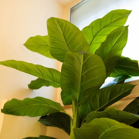 Desiree Luxury House- Vasca Idromassaggio Ferienhaus